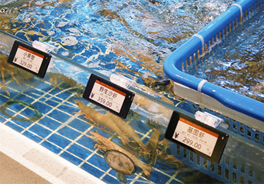 明州府&云里物里 | 餐饮前厅的“智能管家”，让每道菜都透明可见